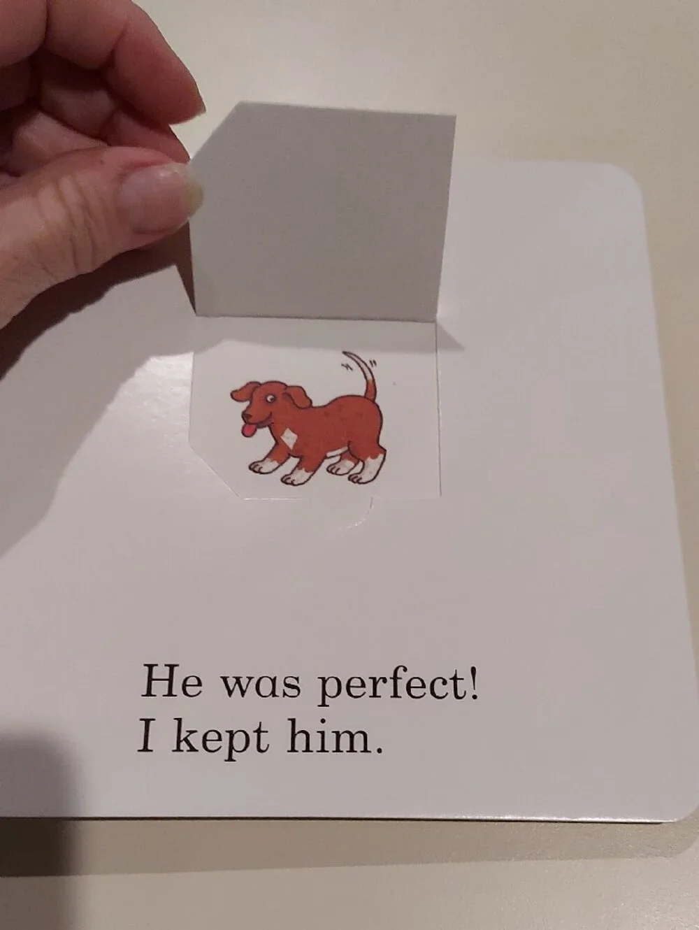 Dear Zoo Board Book - A Lift The Flap Book
